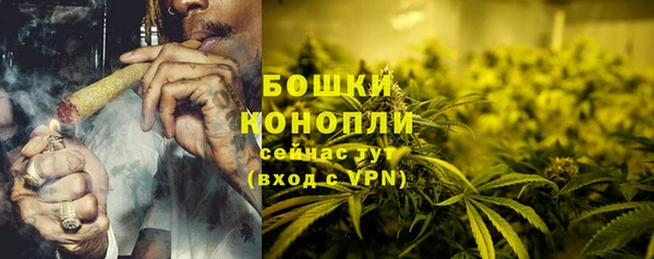 PSILOCYBIN Богородицк